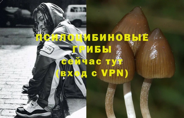 соль ск Вязьма